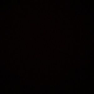 Meet your Posher, Ty